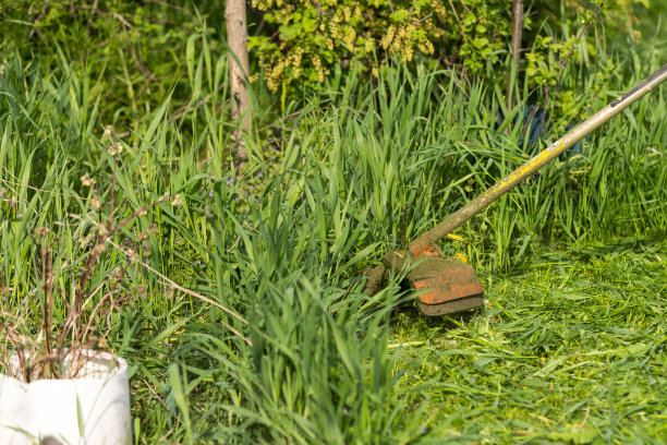 一个男人拿着割草机，在割草图片下载