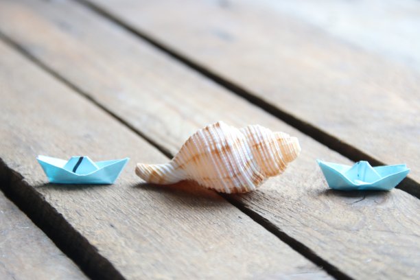 夏天的背景。木制背景上的贝壳。图片下载