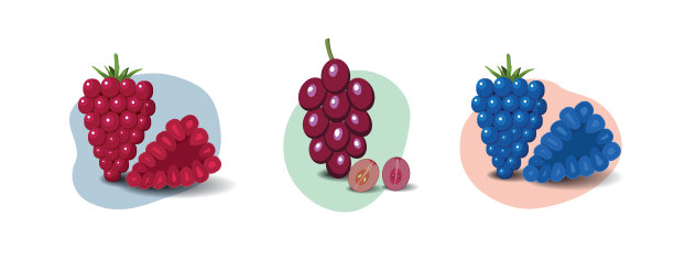 水果卡通套装。素食有机生态产品系列。矢量图图片下载