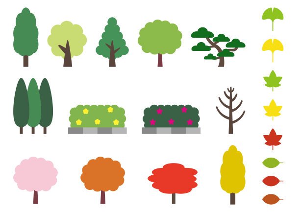 各种树木，行道树和叶集1图片下载