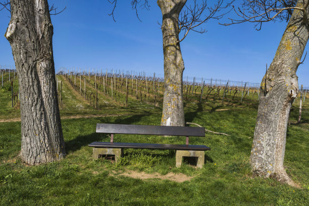 安静放松的地方图片下载