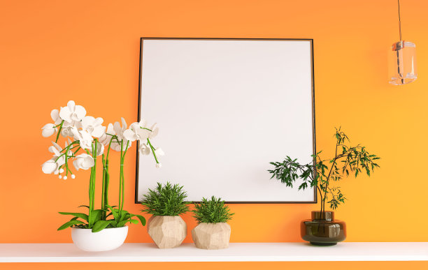 海报空，花，花盆，3d渲染，3d插图图片下载