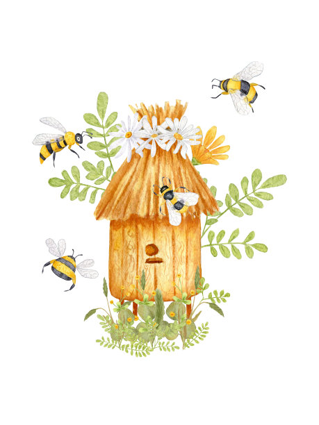 关于养蜂主题的水彩插图。蜜蜂木蜂窝与草与花屋顶。蜜蜂，树枝，大黄蜂和洋甘菊花。图片下载