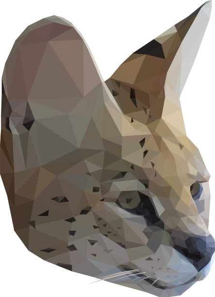 低聚非洲几头图片下载