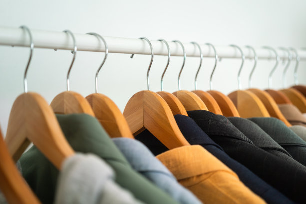 排衣大衣套装。图片下载