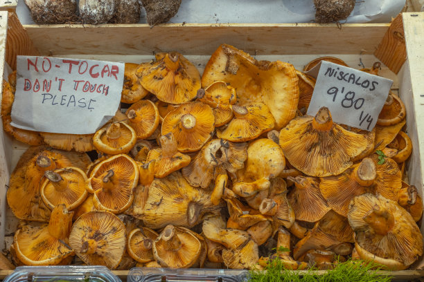 马拉加Atarazanas Mercado的主要食品市场。摊位上摆满了新鲜的食物。西班牙图片下载