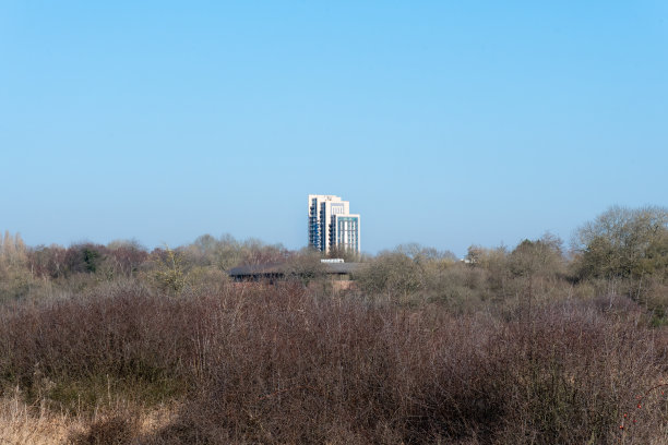 单个城镇街区图片下载