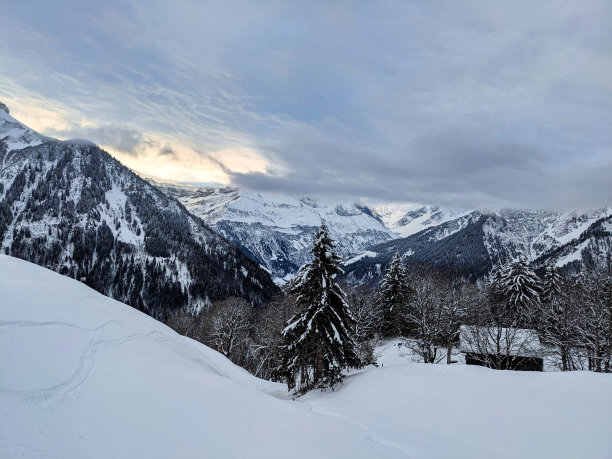 格拉鲁斯阿尔卑斯山上的迅猎兽。从Weissenberg到Fuggstock。穿过刚被雪覆盖的森林到达山顶。飞掠在AlpsHigh质量照片。榆树图片下载