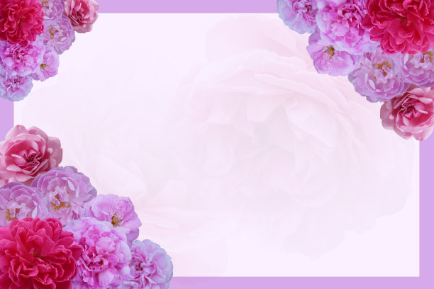 玫瑰花束从三个角落放在粉红色的框架，模糊粉红玫瑰花的背景，自然，对象，装饰，卡片，爱情，情人，复制空间图片下载