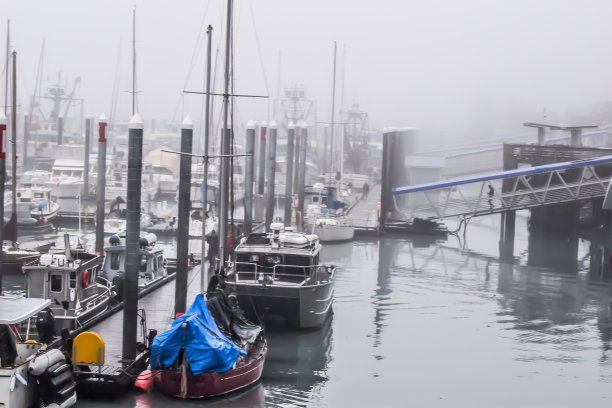 码头上的大雾天图片下载