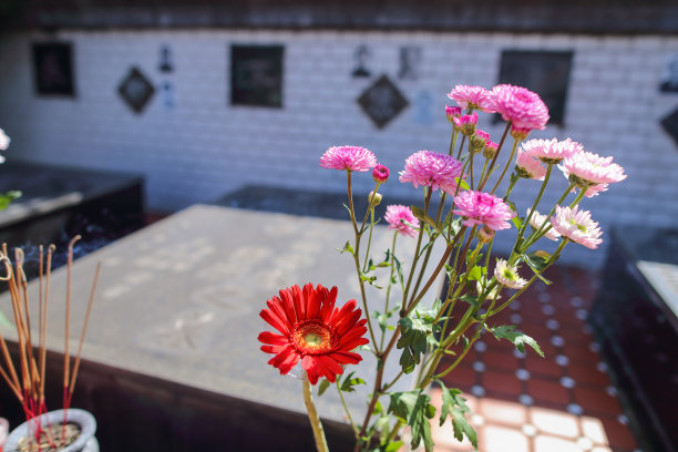 清明节——清明节图片下载