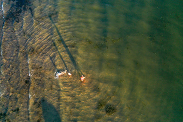 妈妈和孩子们在海滩的浅水区散步图片下载
