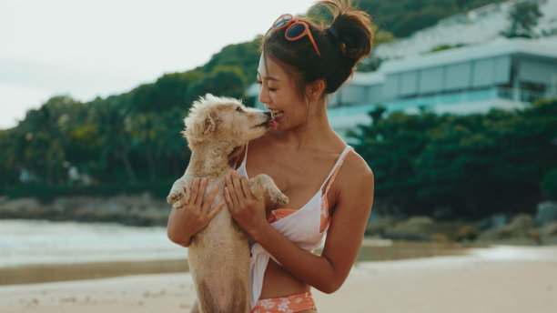 女性快乐的微笑与宠物如同夕阳下的新生命图片下载