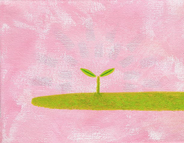 一个小花蕾诞生了，春天的颜色图片下载