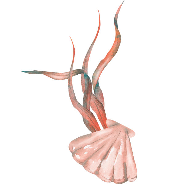 一套藻类，绿松石水下植物，手绘水彩插图。图片下载