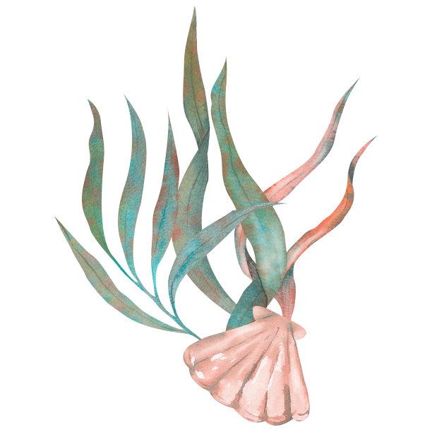 一套藻类，绿松石水下植物，手绘水彩插图。图片下载