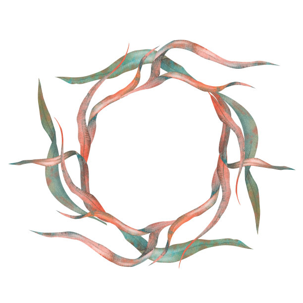 一套藻类，绿松石水下植物，手绘水彩插图。图片下载