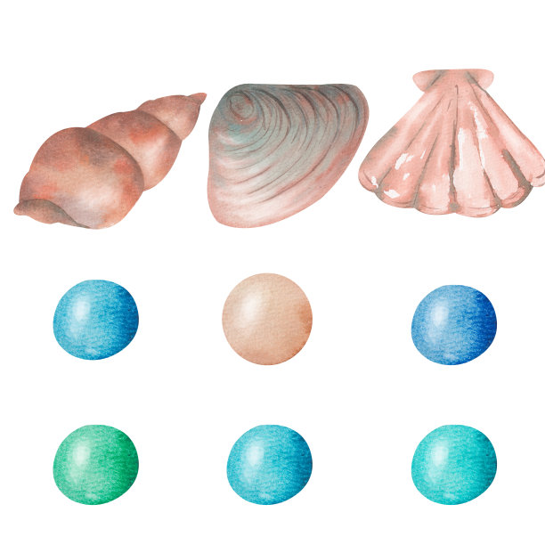 设置与水彩插图的贝壳孤立在白色背景。图片下载