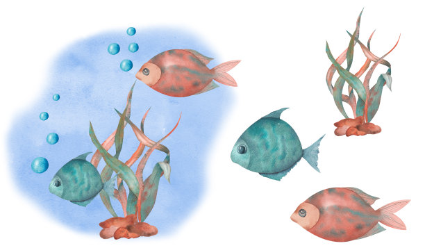 橙黄色和蓝绿色的海藻和鱼的插图。水族馆组成。水彩组成图片下载
