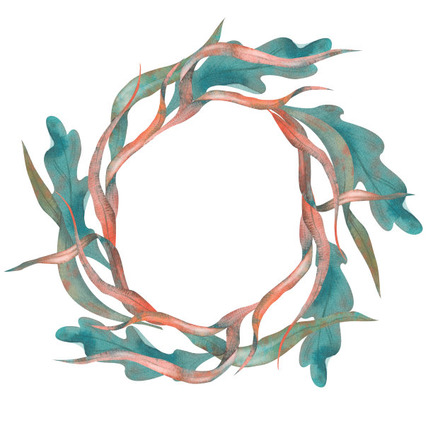 一套藻类，绿松石水下植物，手绘水彩插图。图片下载