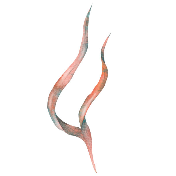 一套藻类，绿松石水下植物，手绘水彩插图。图片下载