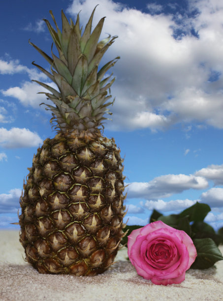 垂直拍摄的菠萝与蓝色的天空背景图片下载