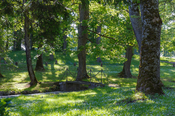 夏天的奥鲁斯特维尔庄园。绿色公园里有小铁桥图片下载