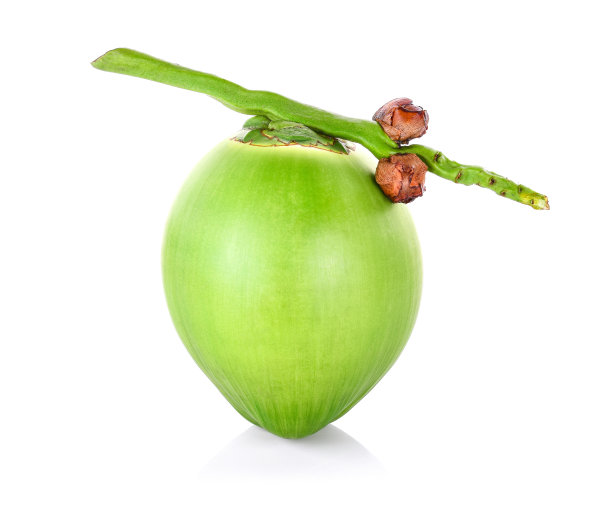 绿色椰子孤立在白色背景上图片下载