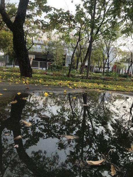 黑色和黄色图片下载