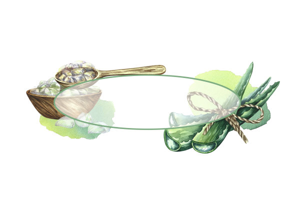 芦荟。椭圆形的框架。水彩插图。用于化妆品、香水、药品的标签和包装。图片下载