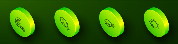 设触角等长线热带章鱼图片下载