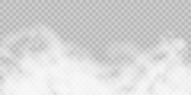 烟雾效果隔离在透明背景层上。股票免版税矢量插图图片下载