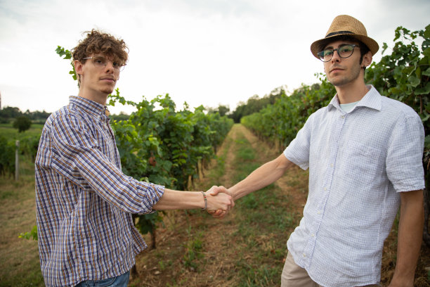 两个酿酒师握手，葡萄园里农民的伙伴关系图片下载