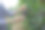 一个葡萄种植者的手特写检查他的葡萄在葡萄园的质量图片下载