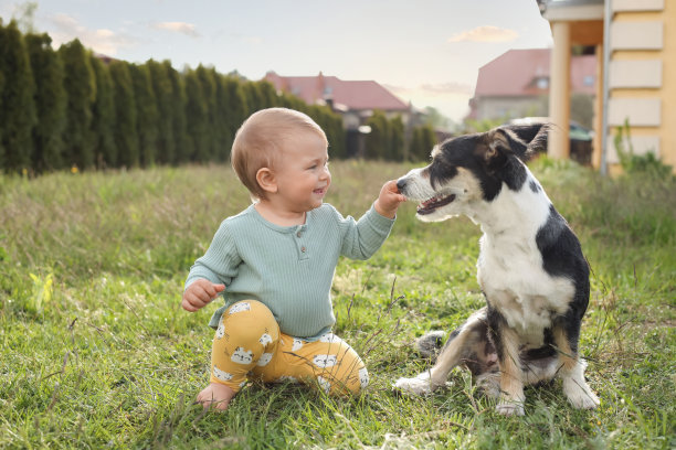可爱的宝宝和毛茸茸的小狗在绿色的草地上户外图片下载