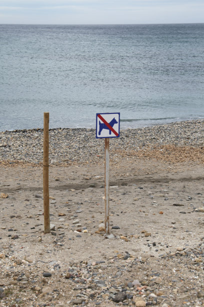 在西班牙，狗不能在海滩上签名图片下载