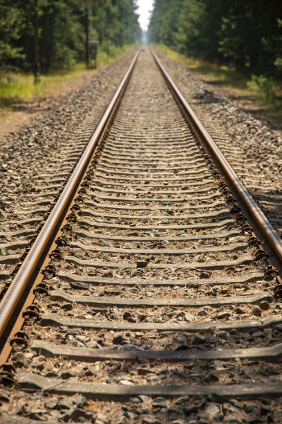 森林里一条用过的小道上的铁轨图片下载