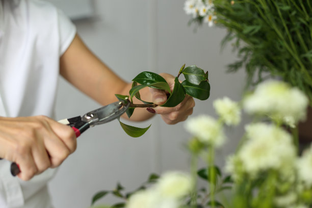 女性花卉艺术课程图片下载