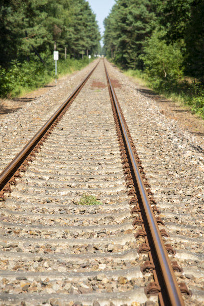 森林里一条用过的小道上的铁轨图片下载