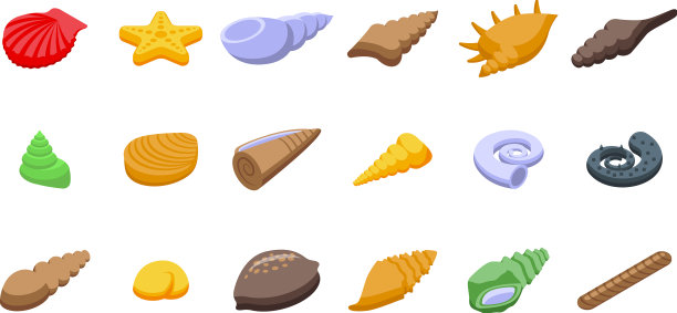 海螺图标集等距海滩贝壳图片下载