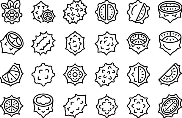 Kiwano图标勾勒出天然食物图片下载
