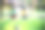 两个可爱的小男孩和潘农兔兔坐在绿色的草地上。人与动物之间的友谊。儿童和宠物图片下载