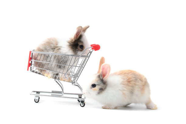 两只可爱的毛茸茸的兔子推着白色背景的购物车，去杂货店市场购买有机蔬菜农产品，可爱可爱的兔子宠物动物在出售概念图片下载