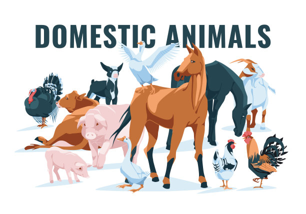 农场动物:鸡，公鸡，母鸡，鹅，火鸡，马，牛，猪，山羊隔离在白色背景上。矢量平面插图。农业、农业和养牛业图片下载