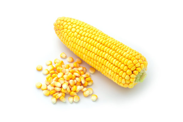 孤立的甜玉米。图片下载