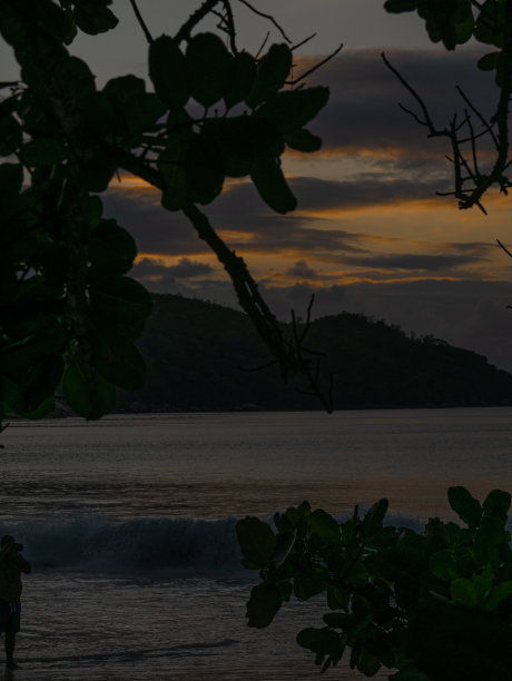 塞舌尔海滩上迷人的巨石。图片下载