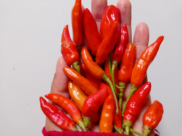辣椒图片下载