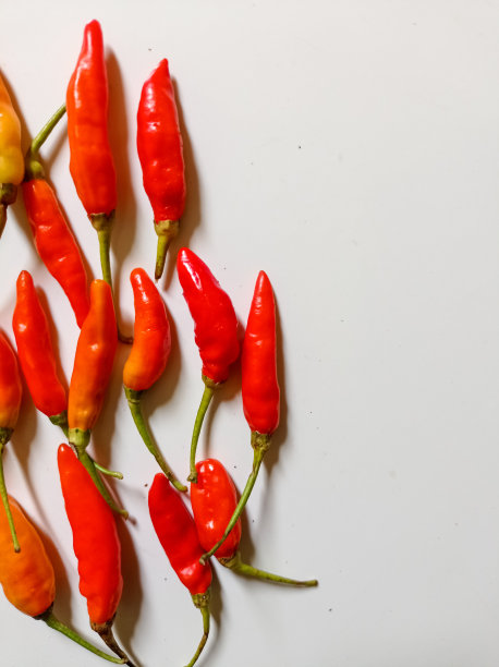 辣椒图片下载