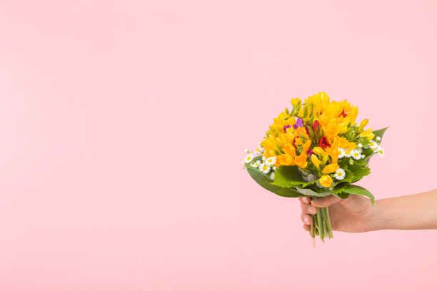 年轻的成年女子手握美丽的新鲜小苍兰花束在浅粉色的墙壁背景。柔和的颜色。特写镜头。空的地方写鼓舞人心的文字，可爱的语录或积极的语录。图片下载