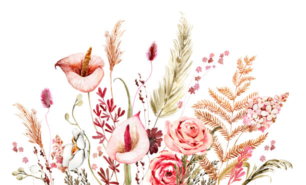 水彩花卉插图图片下载